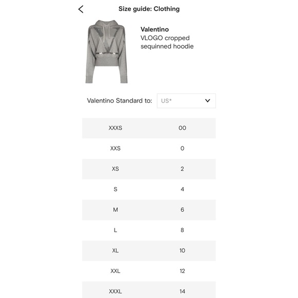 Valentino VLOGO Sequin Embellished hoodie pink - Picture 15 of 15
